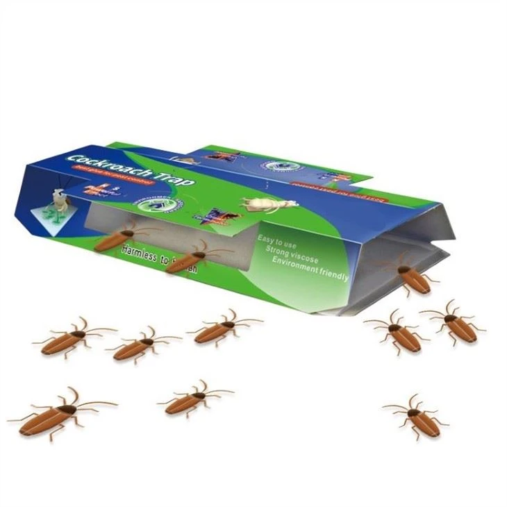Roach glue Motel