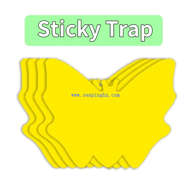 Gnat fly glue board